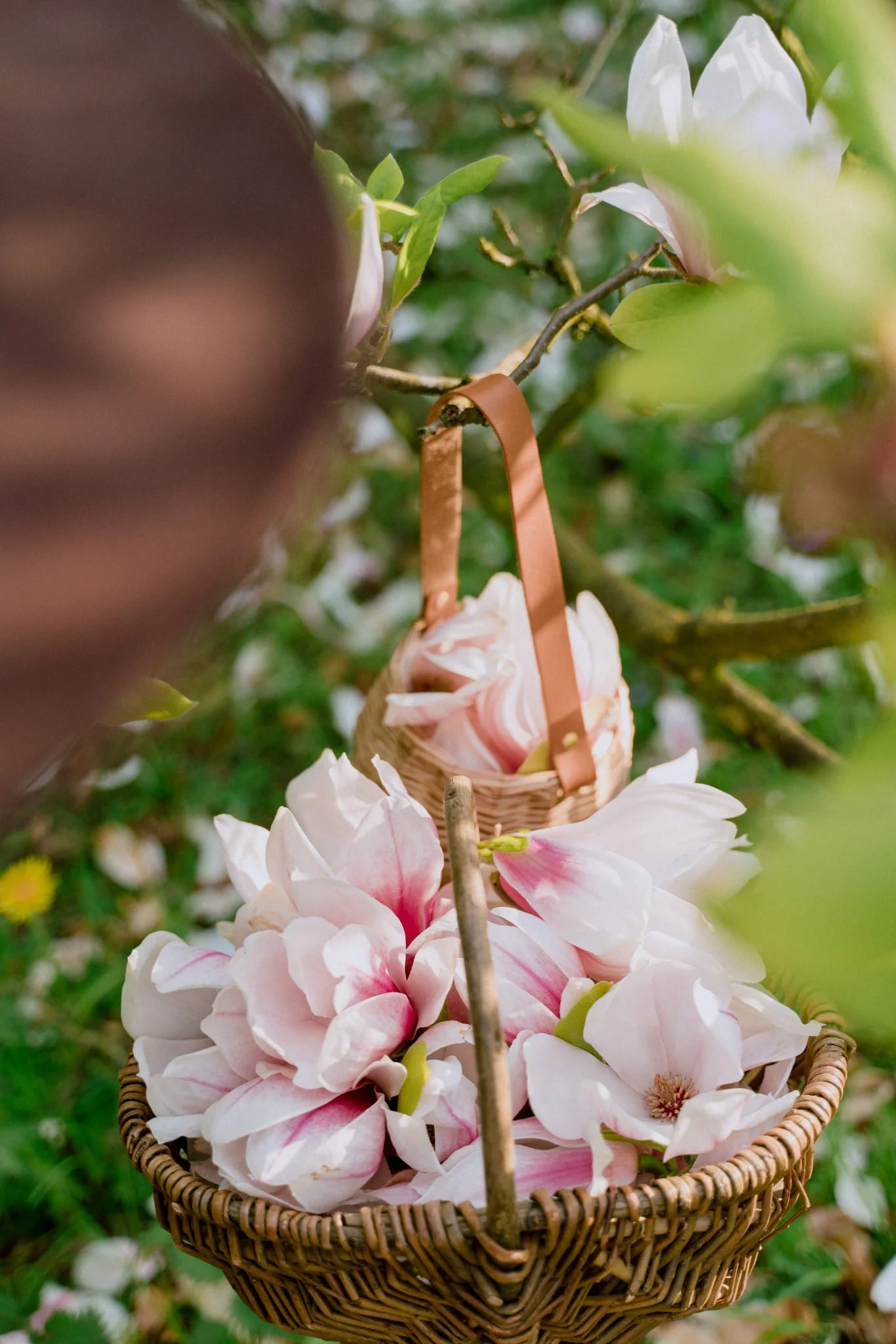 レカンフラワー レカンフラワー – ブローディアアートサロン